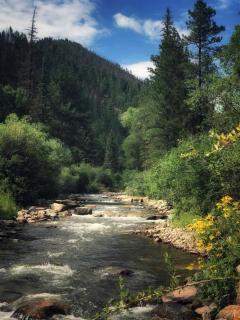 Create Lasting Memories: Family-Friendly Rustic Cabin in New Mexico's Backcountry - 6