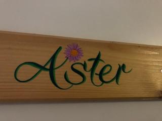 ASTER RESIDENCE LAUREANE 1er ETAGE - 5