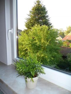 Ruhige Ferienwohnung Mit Balkon Und Parkplatz - 7