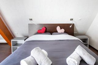 Appartement agréable proche Colmar - 2