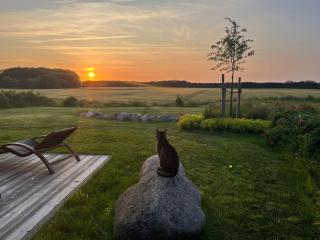 Ostseeseele - Parin - 9