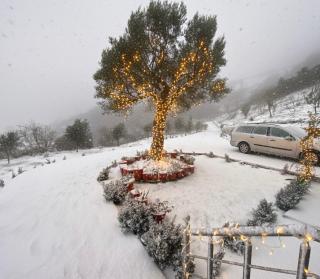 Rodon Blue Villa - 9