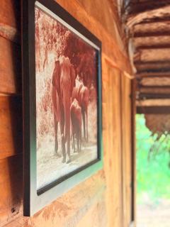 Elephant point tree house - 8