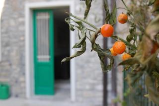 Prima Del Cielo - Appartamento Lago - 8