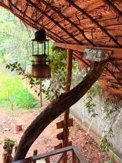 Elephant point tree house - 2