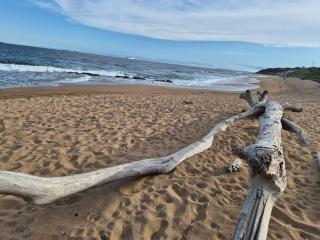 102 L'escalier CABANAS-ON THE BEACH - 0