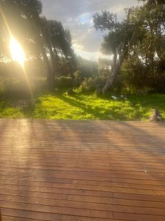 Casa de Fer en Altas Tierras Chapadmalal Mar Del Plata - 5