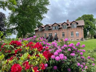 Gut Settin am See - Ferienhäuser - 2