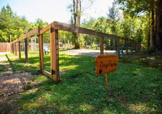 River Cabin - Fire Pit, Kayaks, Games, Dog Park - 5