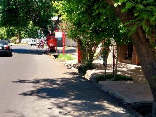 La casa de las flores - 1