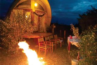 Hotel White Sandcastle Mara Lodge - 1