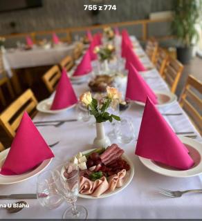 Penzion u Bláhů - 8