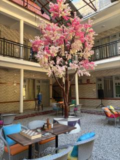 HOM House of MannMauji Riverside kasol - 9