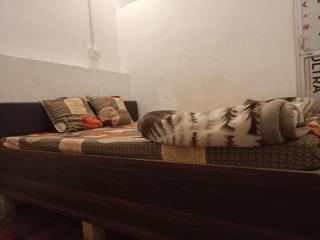 Nine Inn Hotel and Restaurant - 5