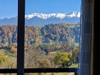 Pensiunea Glasul Pădurii - 5