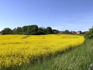 Ferienhaus In Maxen Mit Privatem Pool - 2