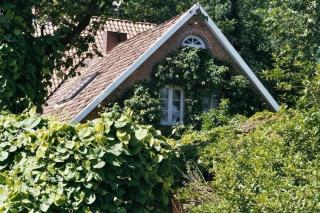 Ferienwohnung In Ehemaliger Dorfschule Am Dorfrand - 7
