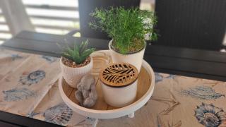 #757 Status Relax No Stress - 9