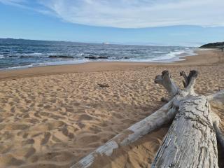 L'escalier CABANAS-ON THE BEACH - 5