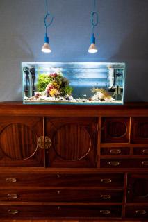 対馬 1日1組限定一棟貸切"Chiromonoyado" - 5