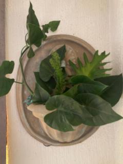 Estudio huentitan - 0