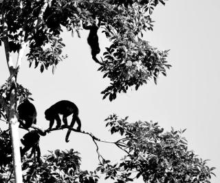 Casita Anya - Hone Creek - 2