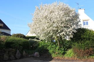 Chambres d'hôtes de Pont C'Hoat - 4