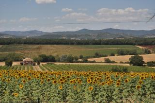 Il casale del Trebbio - 3