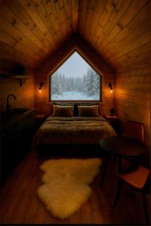 Arctic circle cabin 1 - 1