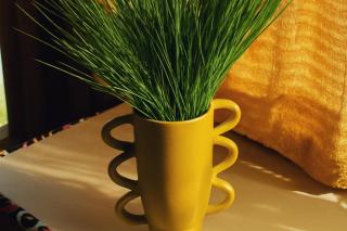 Tiny Huts Campsite - Free Massage Hot Tub Sauna Waterfall Nearby - 5