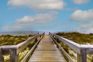 Ocean-view condo with pool, balcony, AC & W/D - walk to beach & near downtown - 5