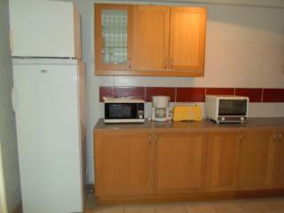 Appartement Climatisé 2 Étoiles, Proche Thermes et Parc, Animaux Admis, Parking, Non-Fumeur - FR-1-503-91 - 1