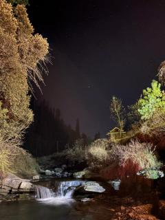 The Riverbank Nest - 3