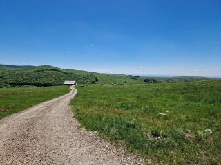 Buron de Léon, en plein cœur de l Aubrac - 2
