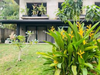 Sirilaka Wedagedara - 1