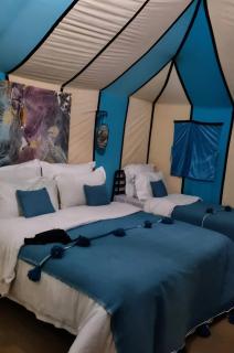 Luxury Suerte Camp - 6