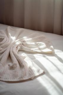 Luxury 2 BDRM in Hivernage with Pool and Garden - 5