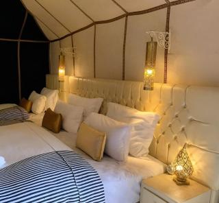 Luxury Suerte Camp - 4