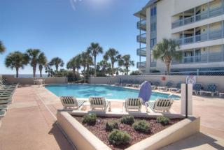 Ocean Forest 1202 - 6