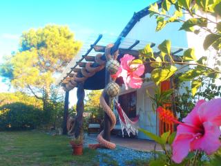 Girasoles Casa en Alquiler en Punta del Diablo, Rocha, Uruguay - 5