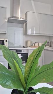 Flat 8, Cupar Apartments. - 3