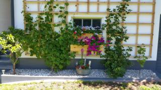 Konis Ferienwohnung - 6