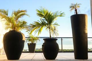 Luum Vibe, Free soul and a refuge in the jungle - Tulum - 9