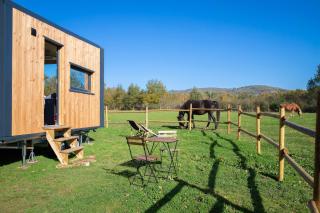 Homnest - Refuge en nature au coeur du Tarn - 5