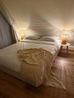 Alpin Chalet & SPA - 1