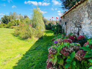La Cour de la Forêt - 3