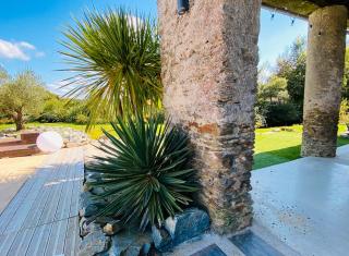 La Cour de la Forêt - 2