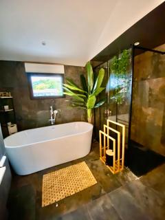 La Cour de la Forêt - 1