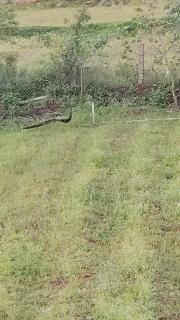 Peacock Abode Farm - 5