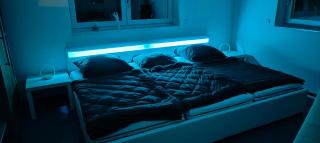 Grüne Auszeit Dresden 2 - 6